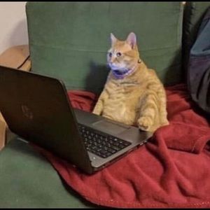 Meet your Posher, Nayla